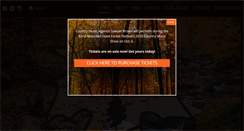 Desktop Screenshot of forestfestival.com